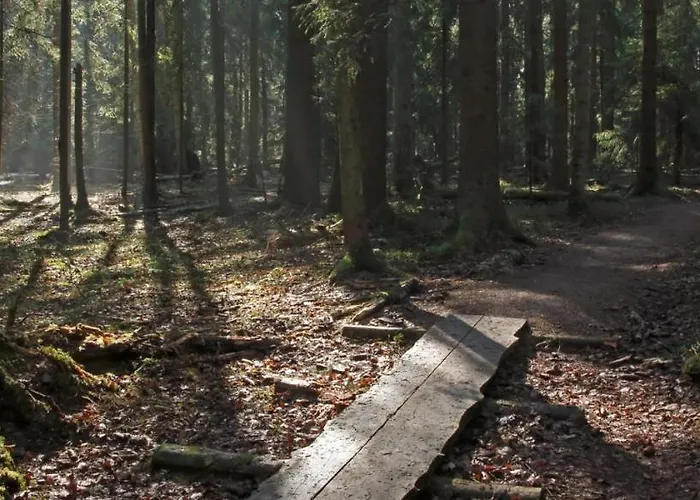 Stylish Studio In Pasila Helsingfors